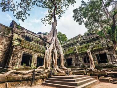 Ta Prohm Temple, Angkor Wat, Cambodia