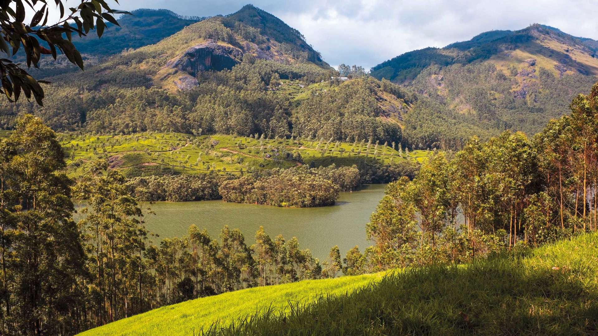 Periyar Lake In The Western Ghats Of South India