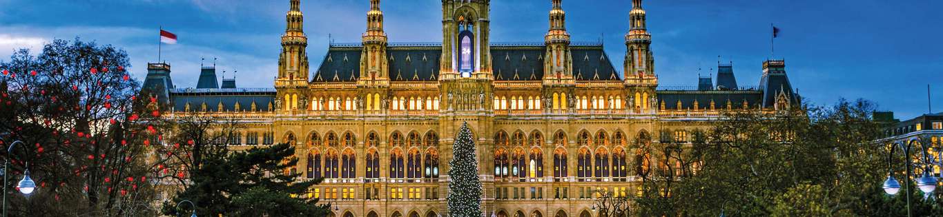 Christmas Market, Vienna, Austria