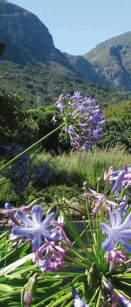 Kirstenbosch, South Africa