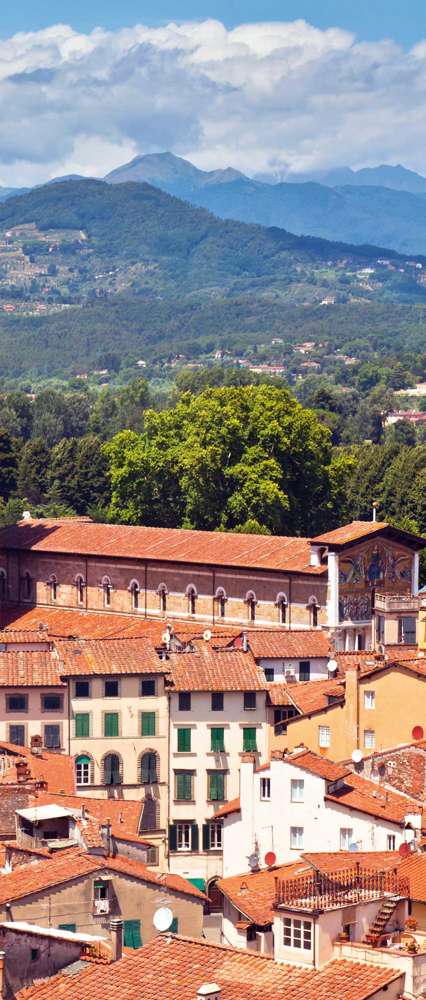 St Martin Cathedral, Lucca, Tuscany, Italy