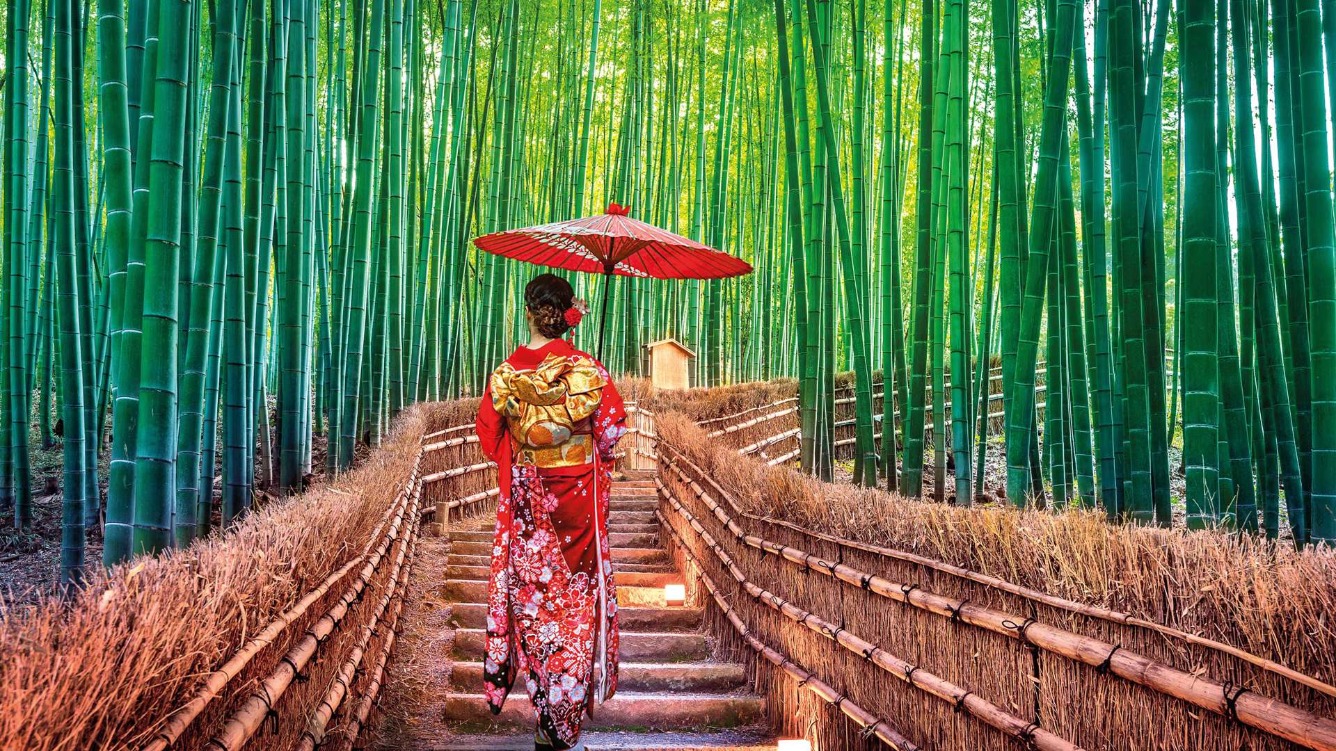 Arashiyama, Japan